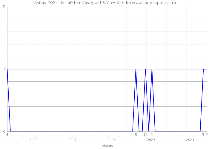 Visitas 2024 de Lafeber Vastgoed B.V. (Holanda) 