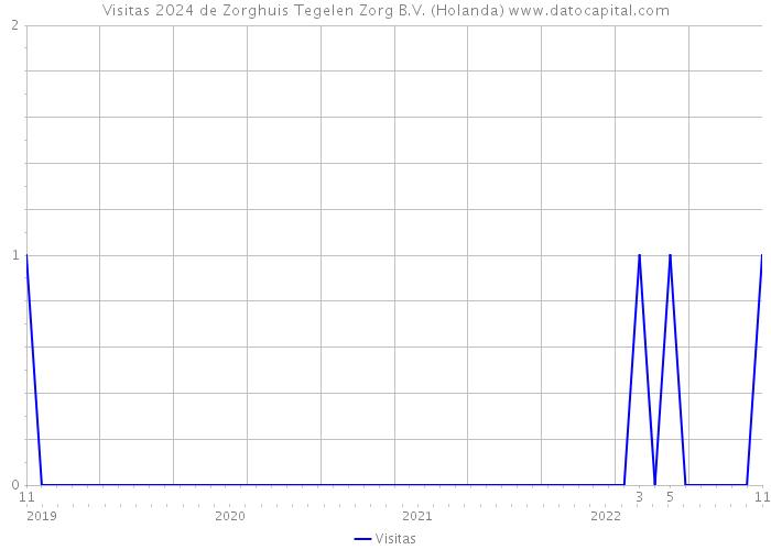 Visitas 2024 de Zorghuis Tegelen Zorg B.V. (Holanda) 