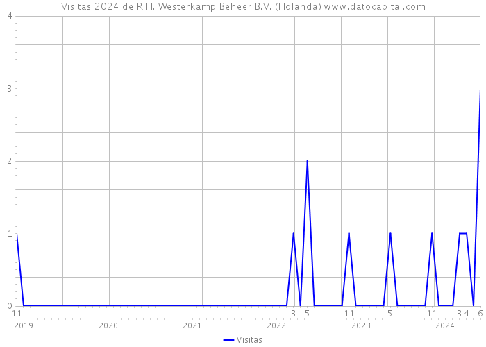 Visitas 2024 de R.H. Westerkamp Beheer B.V. (Holanda) 