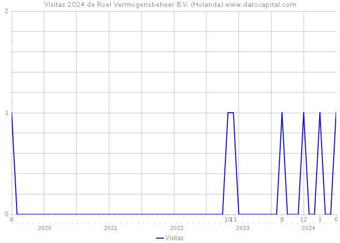 Visitas 2024 de Roel Vermogensbeheer B.V. (Holanda) 