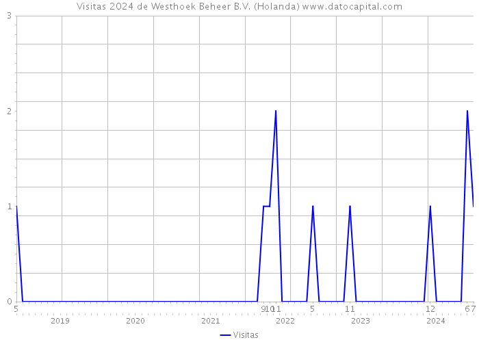 Visitas 2024 de Westhoek Beheer B.V. (Holanda) 