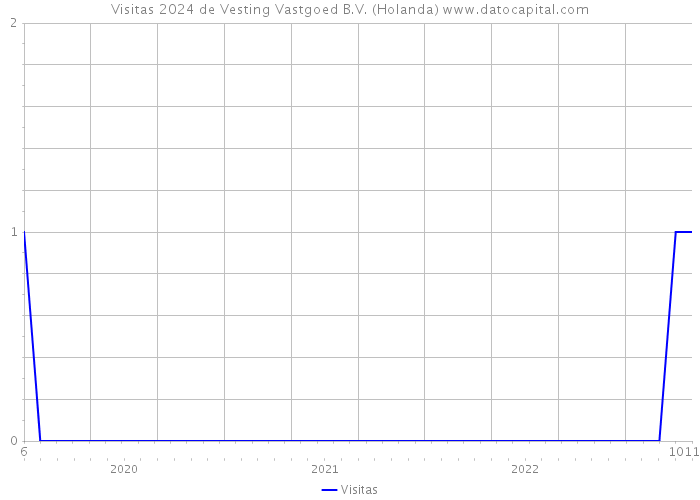 Visitas 2024 de Vesting Vastgoed B.V. (Holanda) 