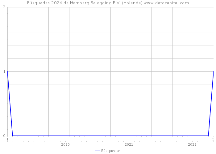 Búsquedas 2024 de Hamberg Belegging B.V. (Holanda) 