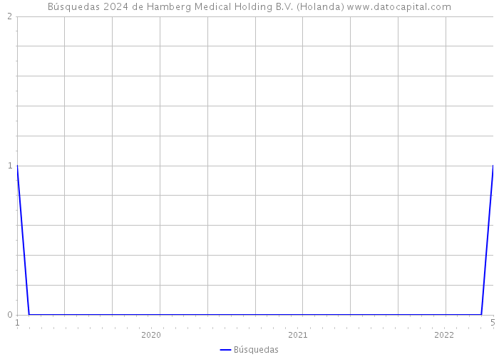 Búsquedas 2024 de Hamberg Medical Holding B.V. (Holanda) 