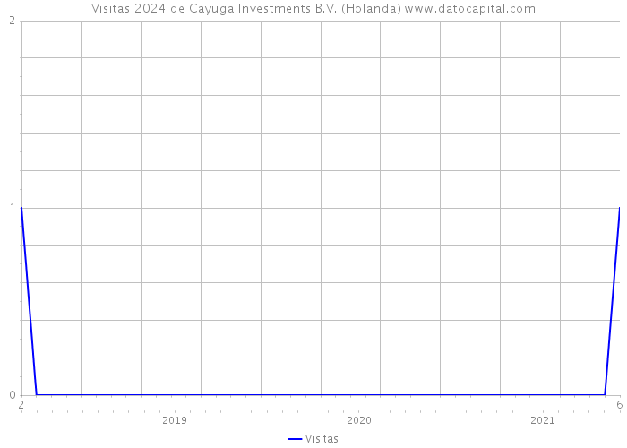 Visitas 2024 de Cayuga Investments B.V. (Holanda) 
