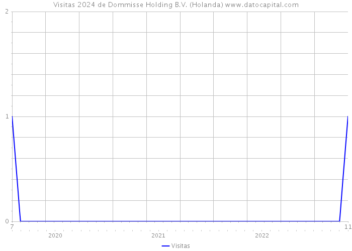 Visitas 2024 de Dommisse Holding B.V. (Holanda) 