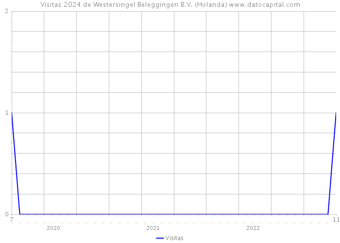 Visitas 2024 de Westersingel Beleggingen B.V. (Holanda) 