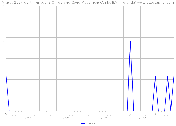 Visitas 2024 de K. Hensgens Onroerend Goed Maastricht-Amby B.V. (Holanda) 