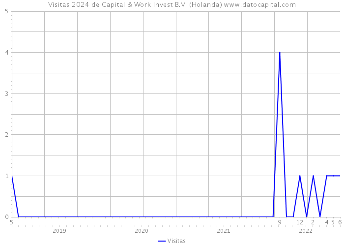 Visitas 2024 de Capital & Work Invest B.V. (Holanda) 