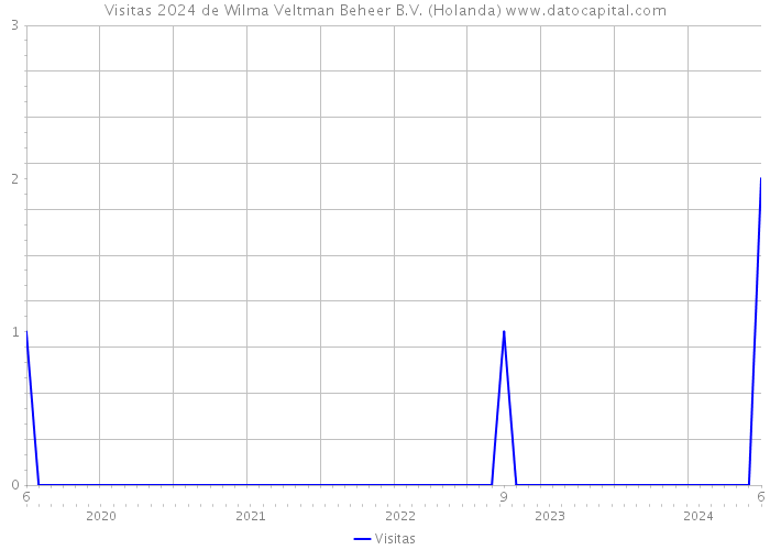 Visitas 2024 de Wilma Veltman Beheer B.V. (Holanda) 