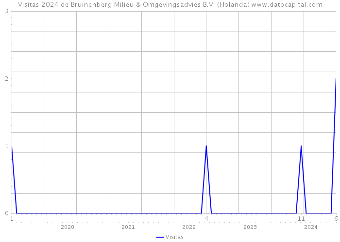 Visitas 2024 de Bruinenberg Milieu & Omgevingsadvies B.V. (Holanda) 
