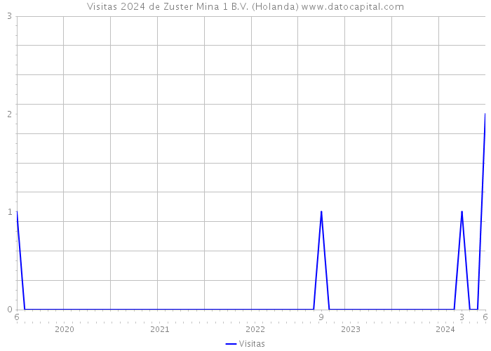 Visitas 2024 de Zuster Mina 1 B.V. (Holanda) 