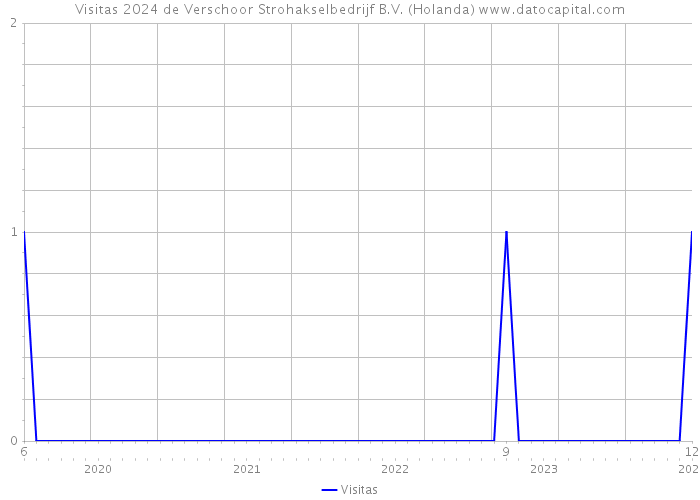 Visitas 2024 de Verschoor Strohakselbedrijf B.V. (Holanda) 