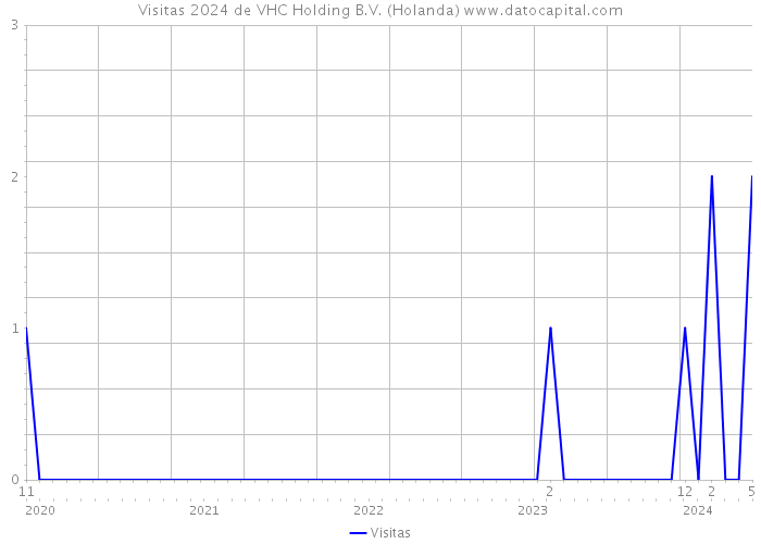 Visitas 2024 de VHC Holding B.V. (Holanda) 