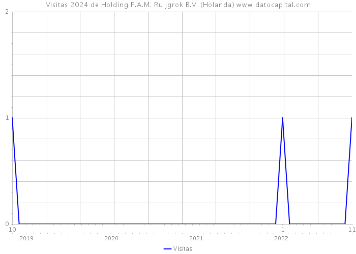 Visitas 2024 de Holding P.A.M. Ruijgrok B.V. (Holanda) 