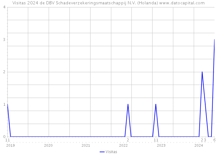 Visitas 2024 de DBV Schadeverzekeringsmaatschappij N.V. (Holanda) 