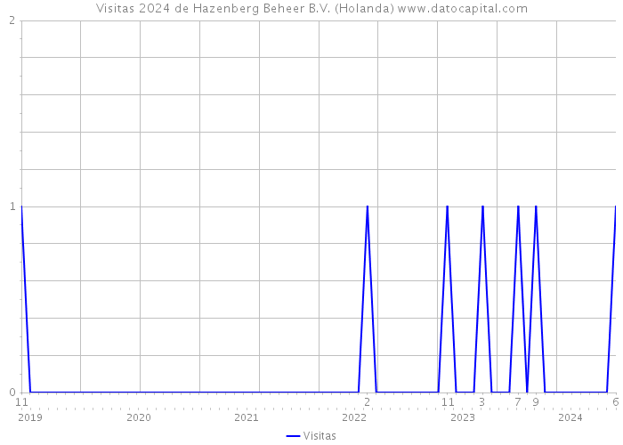 Visitas 2024 de Hazenberg Beheer B.V. (Holanda) 