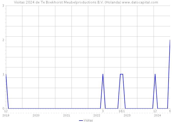 Visitas 2024 de Te Boekhorst Meubelproductions B.V. (Holanda) 