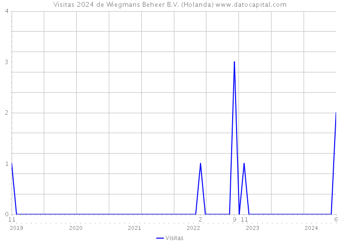 Visitas 2024 de Wiegmans Beheer B.V. (Holanda) 