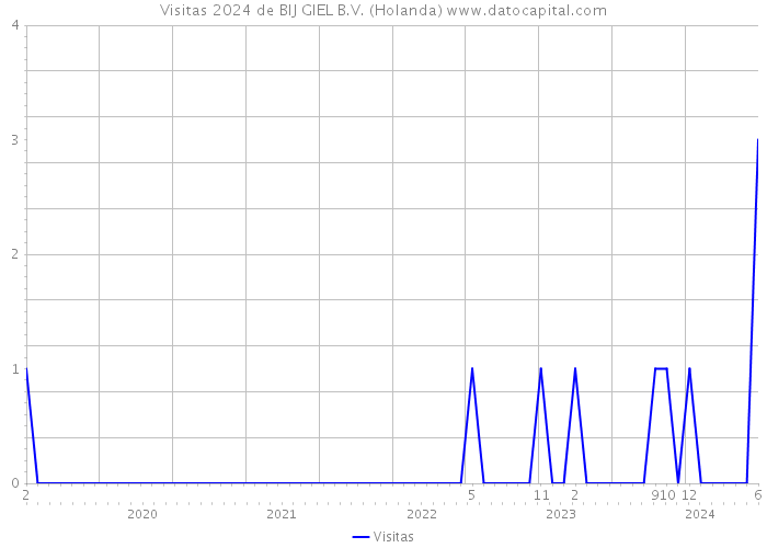 Visitas 2024 de BIJ GIEL B.V. (Holanda) 