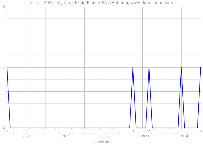 Visitas 2024 de J.G. de Kruijf Beheer B.V. (Holanda) 