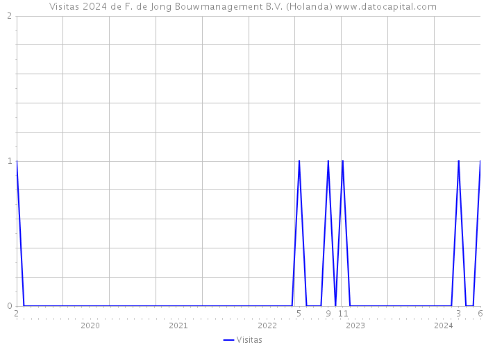 Visitas 2024 de F. de Jong Bouwmanagement B.V. (Holanda) 