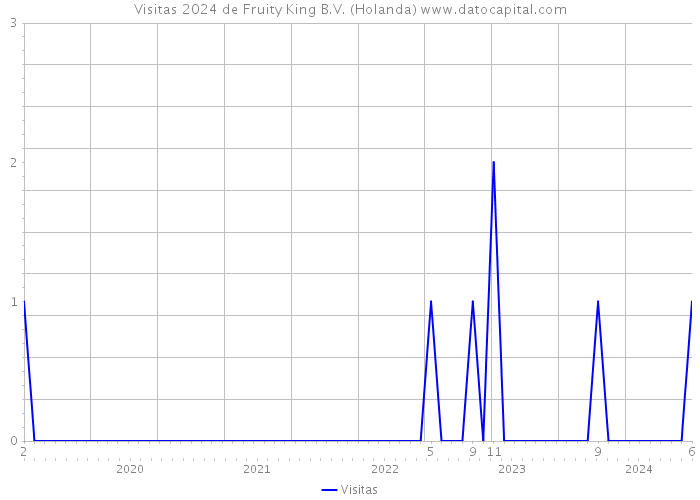 Visitas 2024 de Fruity King B.V. (Holanda) 