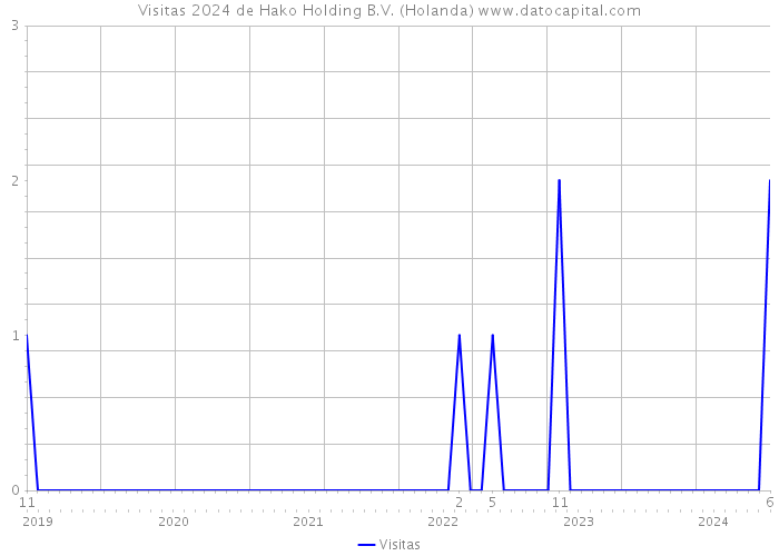 Visitas 2024 de Hako Holding B.V. (Holanda) 