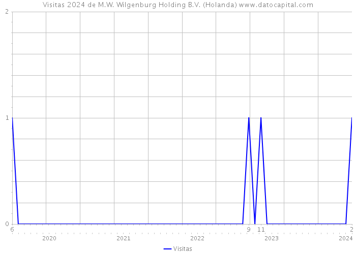 Visitas 2024 de M.W. Wilgenburg Holding B.V. (Holanda) 