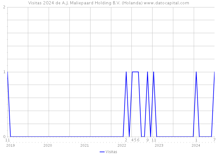 Visitas 2024 de A.J. Maliepaard Holding B.V. (Holanda) 