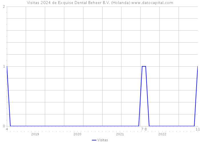 Visitas 2024 de Exquise Dental Beheer B.V. (Holanda) 