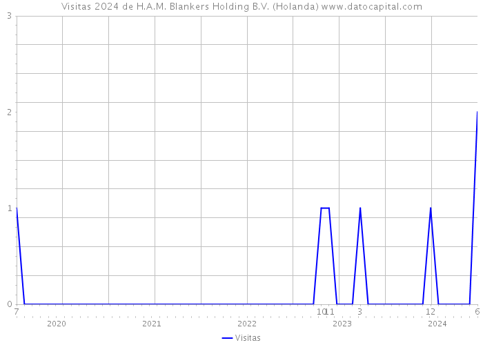 Visitas 2024 de H.A.M. Blankers Holding B.V. (Holanda) 