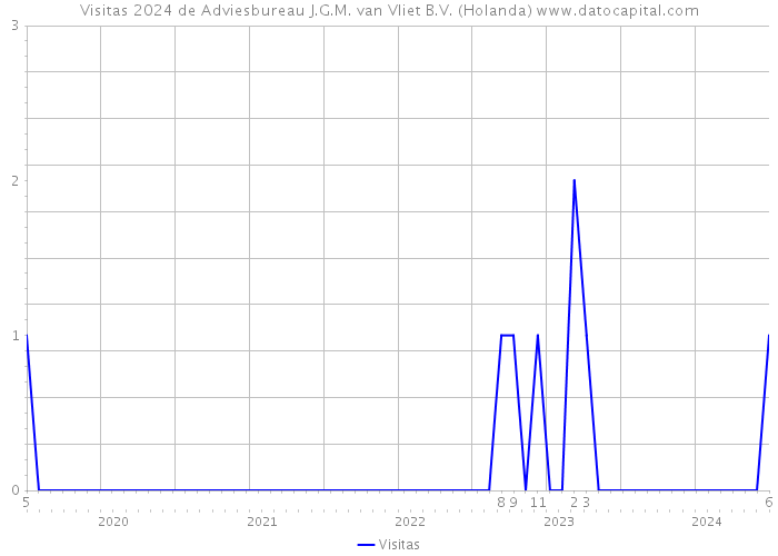 Visitas 2024 de Adviesbureau J.G.M. van Vliet B.V. (Holanda) 