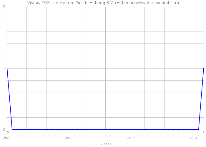 Visitas 2024 de Mokum Pacific Holding B.V. (Holanda) 
