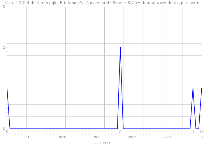 Visitas 2024 de Koninklijke Brinkman 's-Gravenzande Beheer B.V. (Holanda) 
