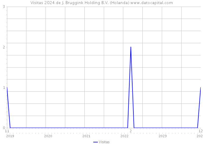 Visitas 2024 de J. Bruggink Holding B.V. (Holanda) 
