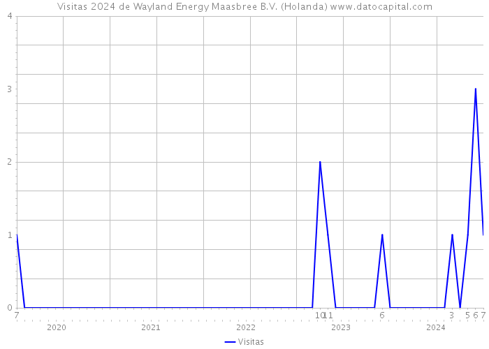 Visitas 2024 de Wayland Energy Maasbree B.V. (Holanda) 