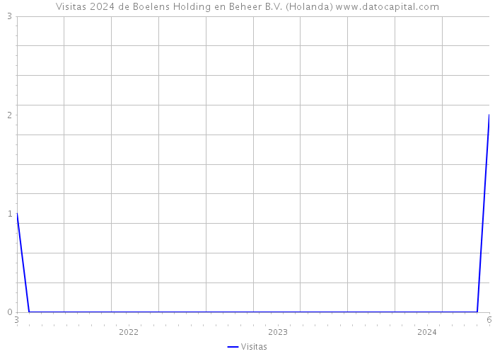 Visitas 2024 de Boelens Holding en Beheer B.V. (Holanda) 
