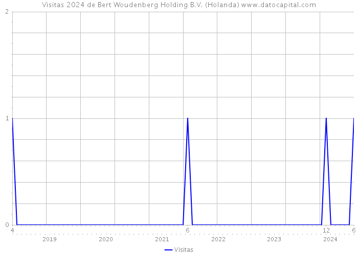 Visitas 2024 de Bert Woudenberg Holding B.V. (Holanda) 