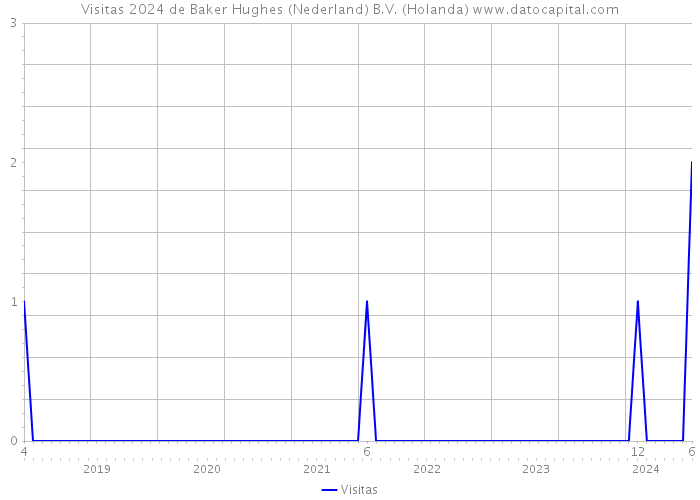 Visitas 2024 de Baker Hughes (Nederland) B.V. (Holanda) 