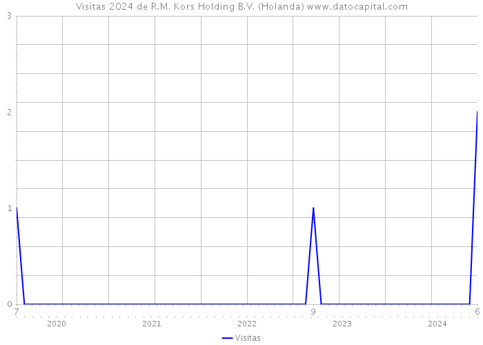 Visitas 2024 de R.M. Kors Holding B.V. (Holanda) 