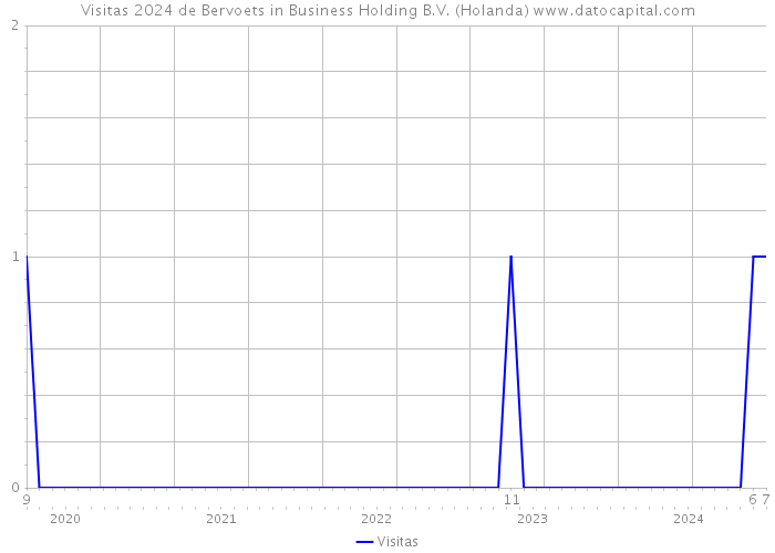 Visitas 2024 de Bervoets in Business Holding B.V. (Holanda) 