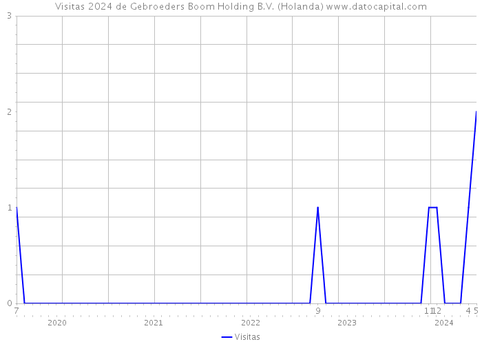 Visitas 2024 de Gebroeders Boom Holding B.V. (Holanda) 