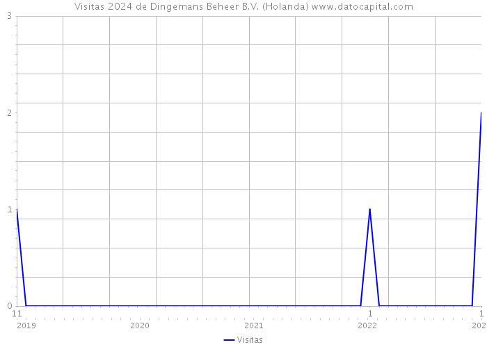 Visitas 2024 de Dingemans Beheer B.V. (Holanda) 