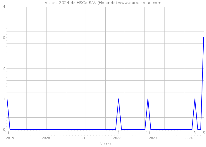 Visitas 2024 de HSCo B.V. (Holanda) 