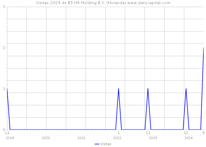 Visitas 2024 de B3 H4 Holding B.V. (Holanda) 