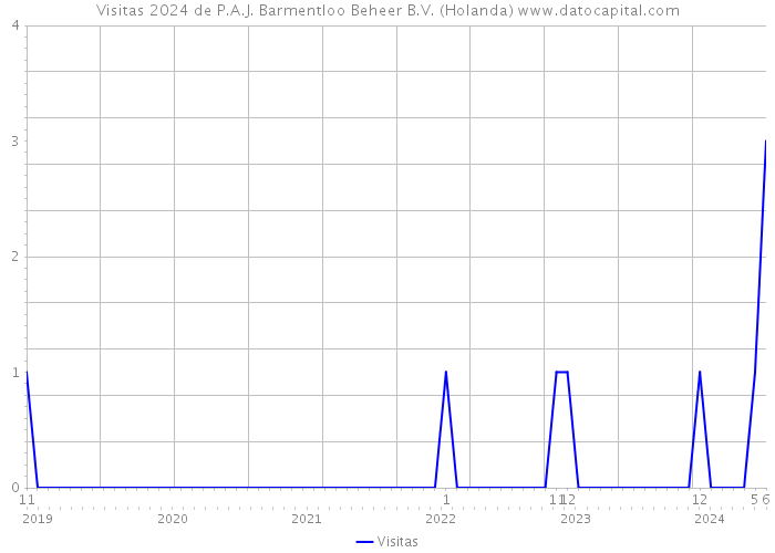 Visitas 2024 de P.A.J. Barmentloo Beheer B.V. (Holanda) 