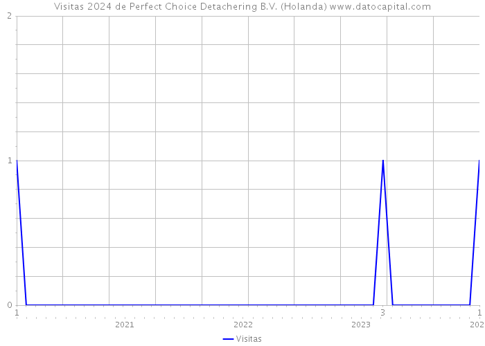 Visitas 2024 de Perfect Choice Detachering B.V. (Holanda) 