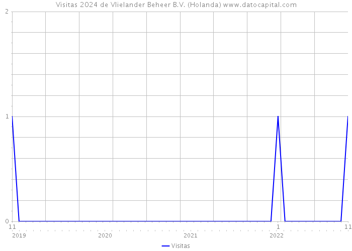 Visitas 2024 de Vlielander Beheer B.V. (Holanda) 