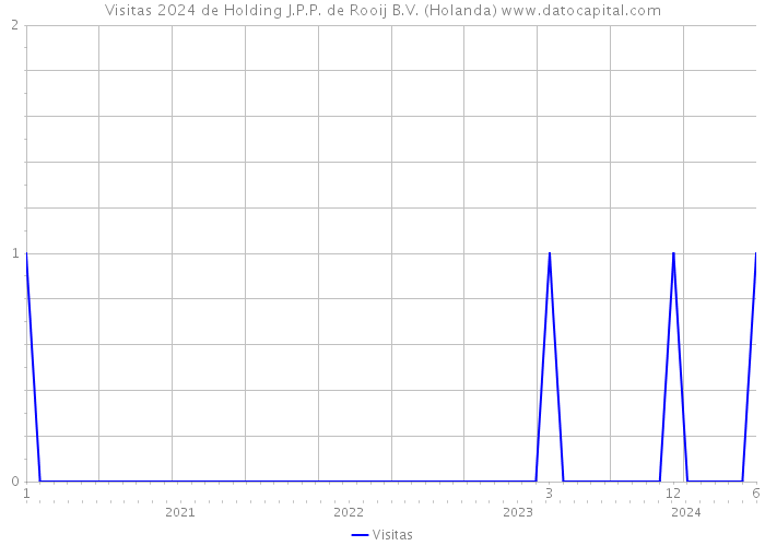 Visitas 2024 de Holding J.P.P. de Rooij B.V. (Holanda) 